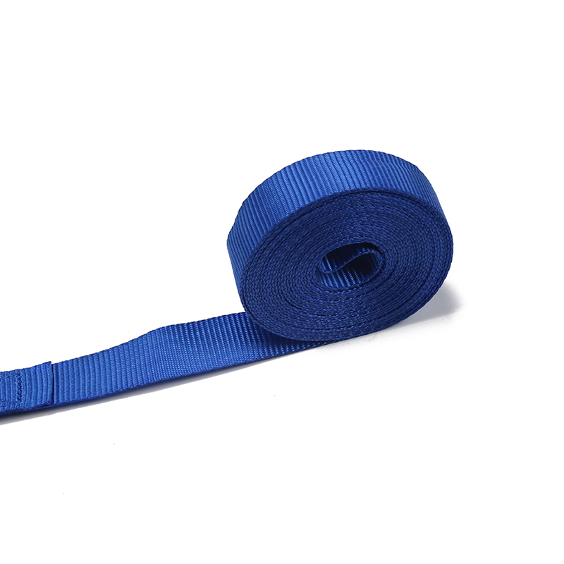 Der europäische 25-mm-Ratschen-Zurrhaken vom Typ S (Modell BT-TDS-021)