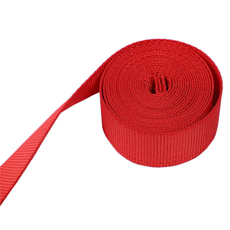 Der 2'' x 12' rote E-Track-Ratschengurt